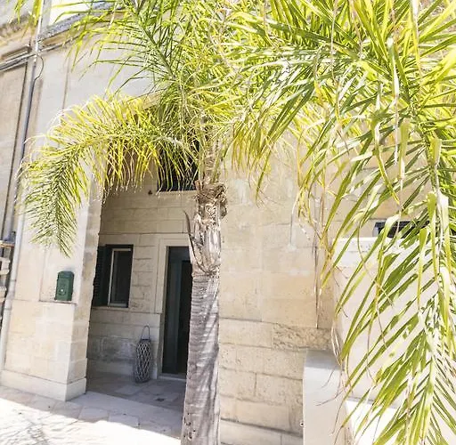 B&B Tarantola